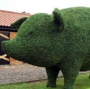 Meet your Posher, Huy